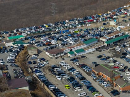 «Зеленка» не опустеет. Эксперты оценили шансы авторынка на выживание