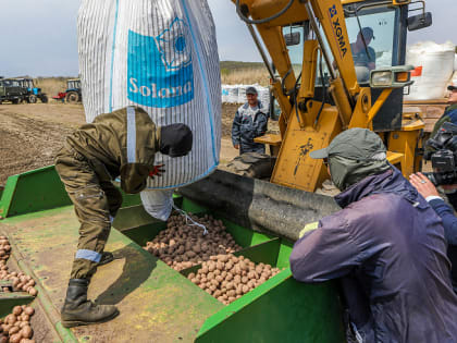 Аграрии Приморья начали садить картофель