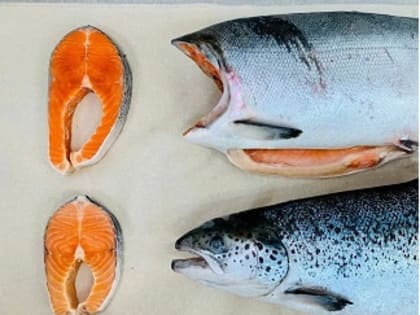 Экспорт лосося из Чили в первом полугодии увеличился на 2%, но падение цен в США вызывает «серьезную озабоченность»