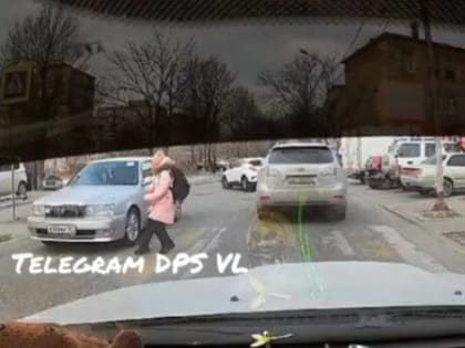 Автолюбитель чуть не стал свидетелем страшной картины на дороге во Владивостоке