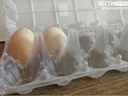 Глава ЦБ объяснила резкий рост цен на яйца