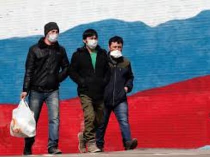 Иностранцам выдали на 20% больше разрешений на работу в России