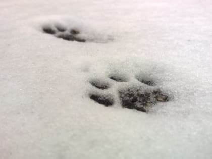 Ждать ли в Приморье осадков 25 февраля?