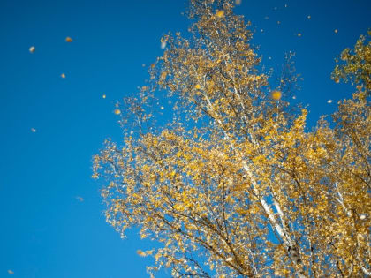 Затишье перед бурей: погода на ближайшие сутки в Приморье