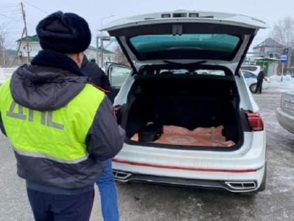 Что ожидать при проверке ГИБДД: советы юриста