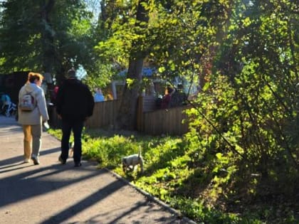 2200 шагов в день полезны для здоровья сердца и сосудов
