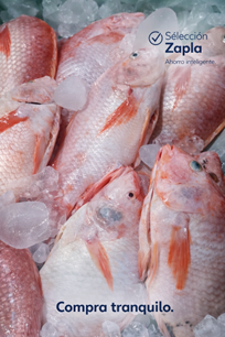 Pescado y Mariscos
