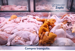 Pollo