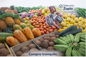 Verduras Frescas