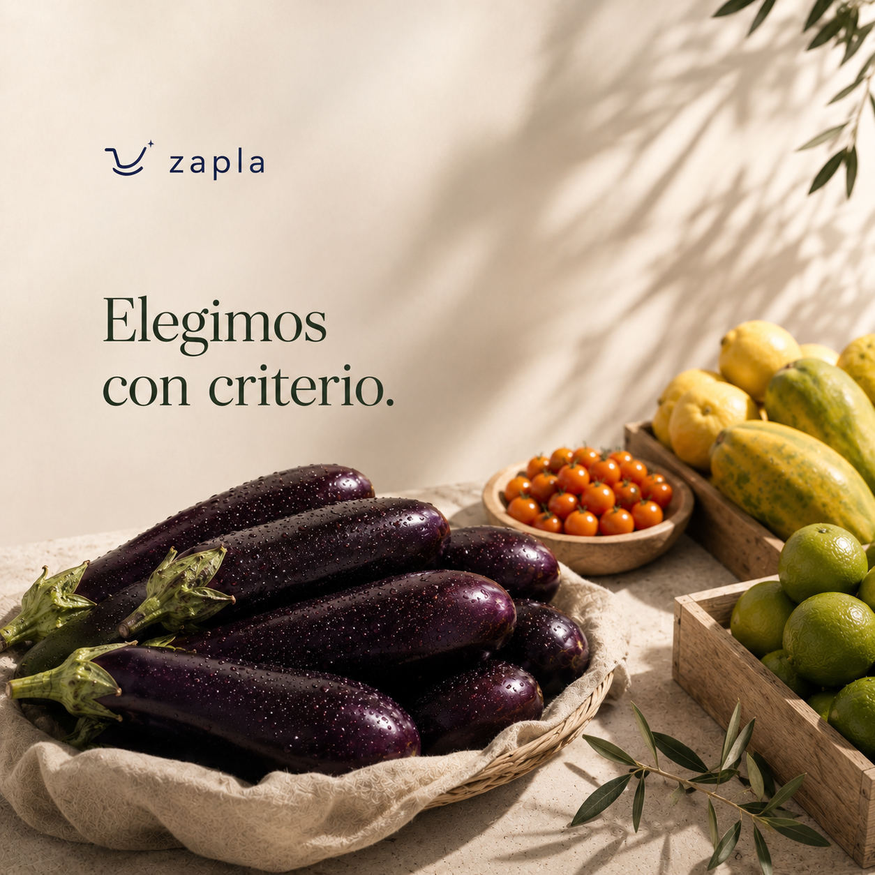 Frutas y Verduras