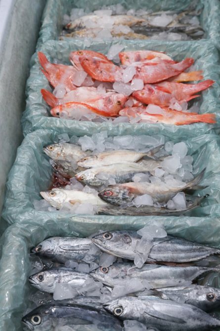 Proteinas Seleccionadas