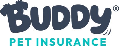 Buddy Pet Insurance
