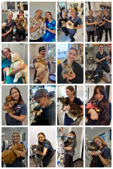 Quality Veterinary Care Centre