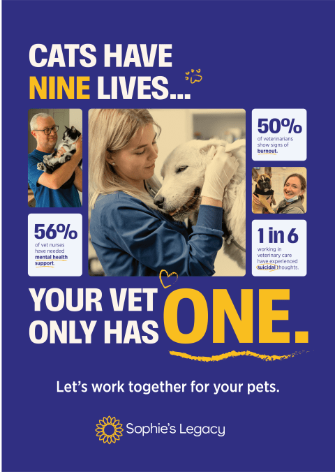 Nine Lives