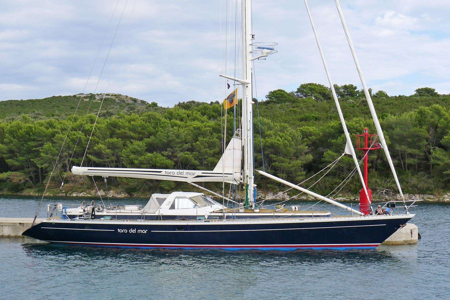 TORO DEL MAR