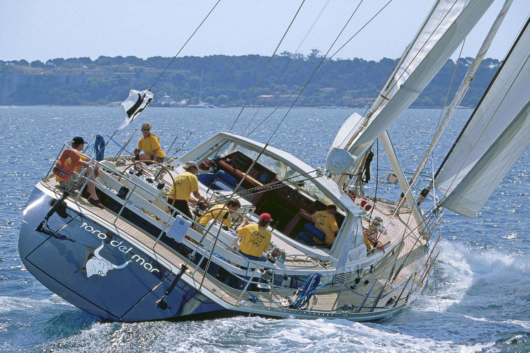 TORO DEL MAR