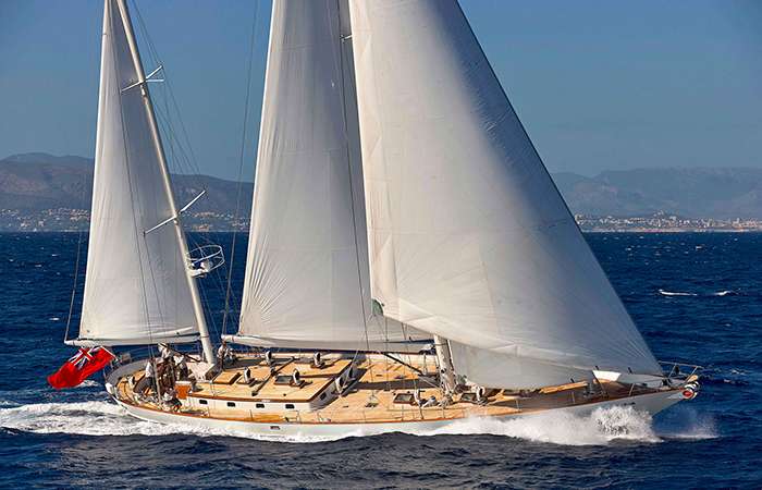 New CA - SARANNA STAR
