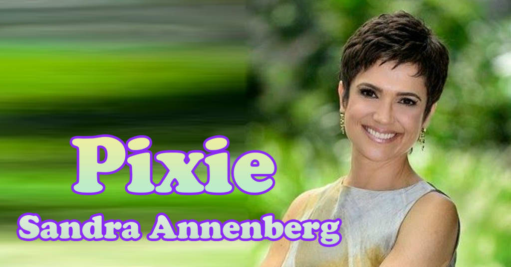 O Famoso Cabelo Curto Pixie da Sandra Annenberg