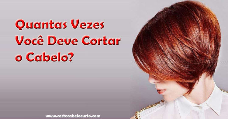 Quantas Vezes Você Deve Cortar o Cabelo? 1 Quantas Vezes Você Deve Cortar o Cabelo