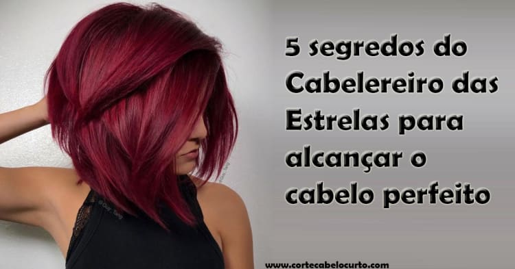 5 segredos do Cabeleireiro das Estrelas para alcançar o cabelo perfeito 1 5 segredos do Cabelereiro das Estrelas para alcançar o cabelo perfeito-4
