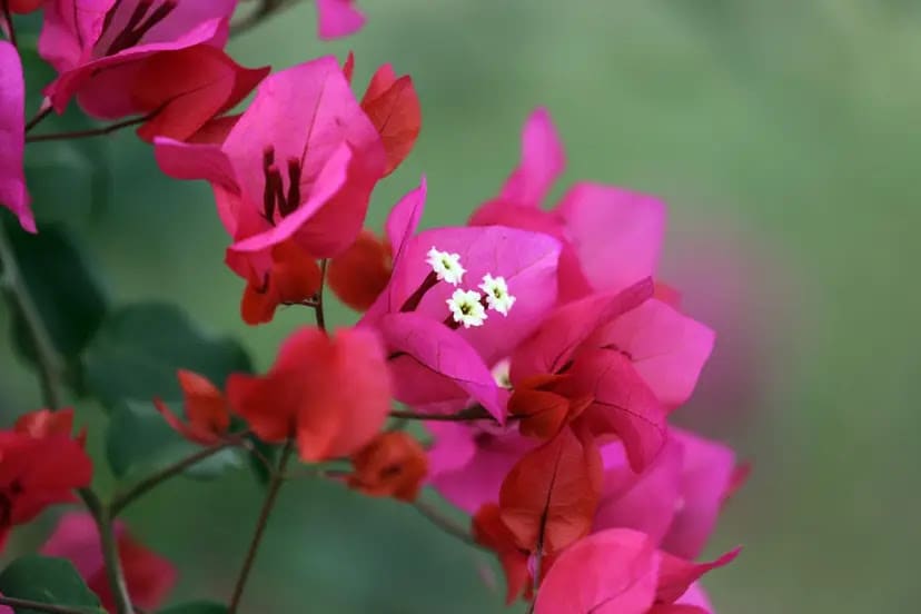 January 2026 NEWS: Sandra King's Ministry Newsletter