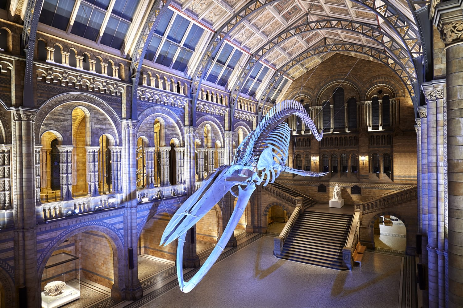 Natural History Museum 1