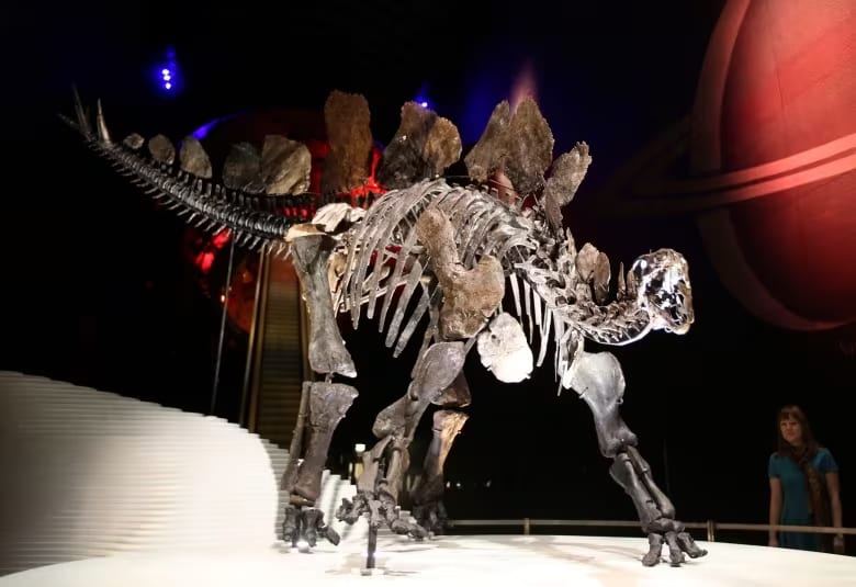 Natural History Museum 2