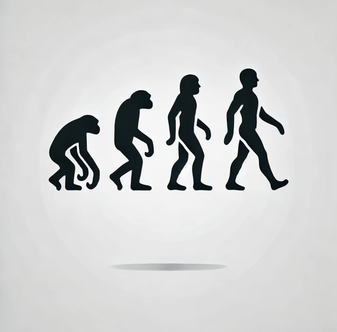 Human Evolution