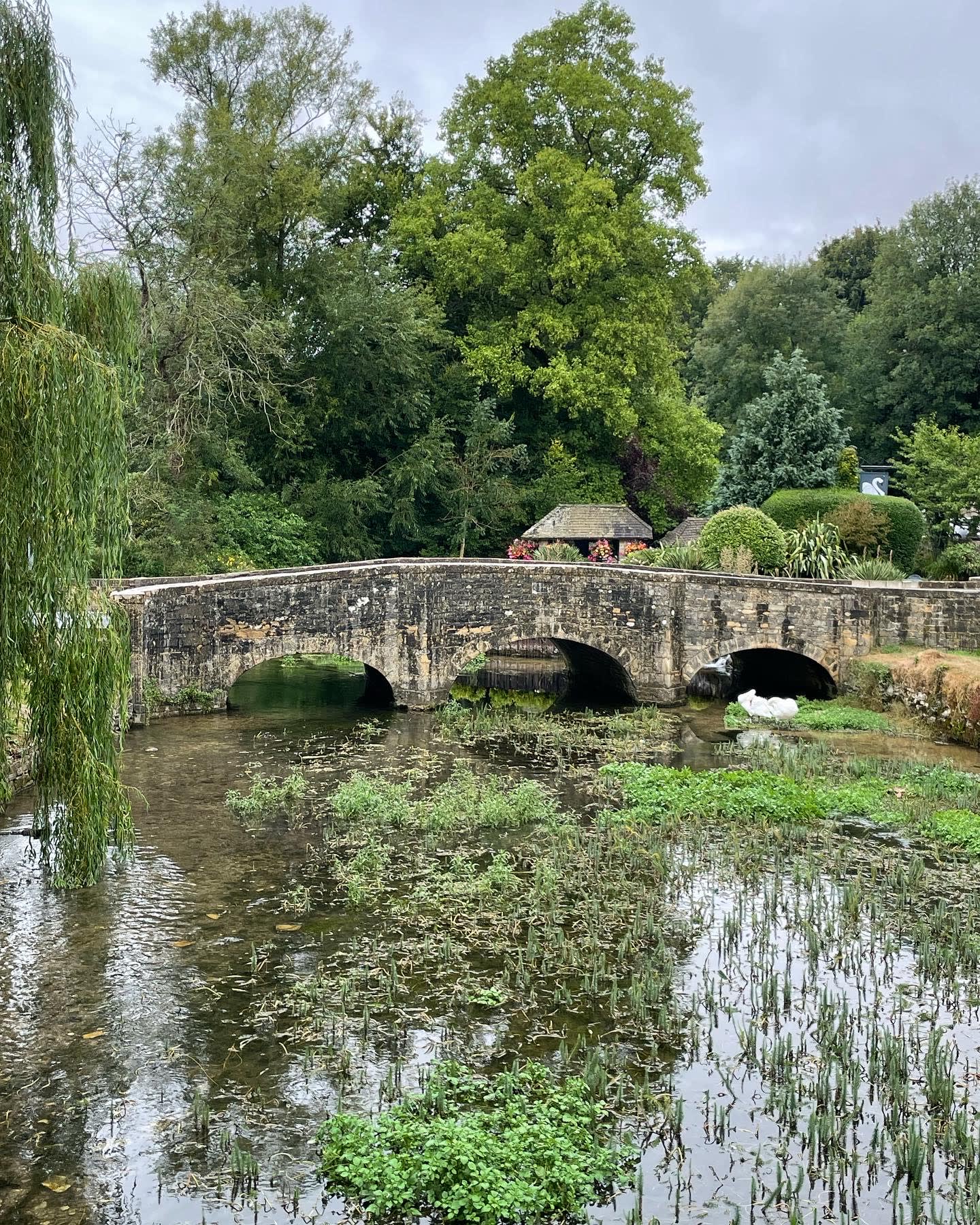 Cotswolds Countryside