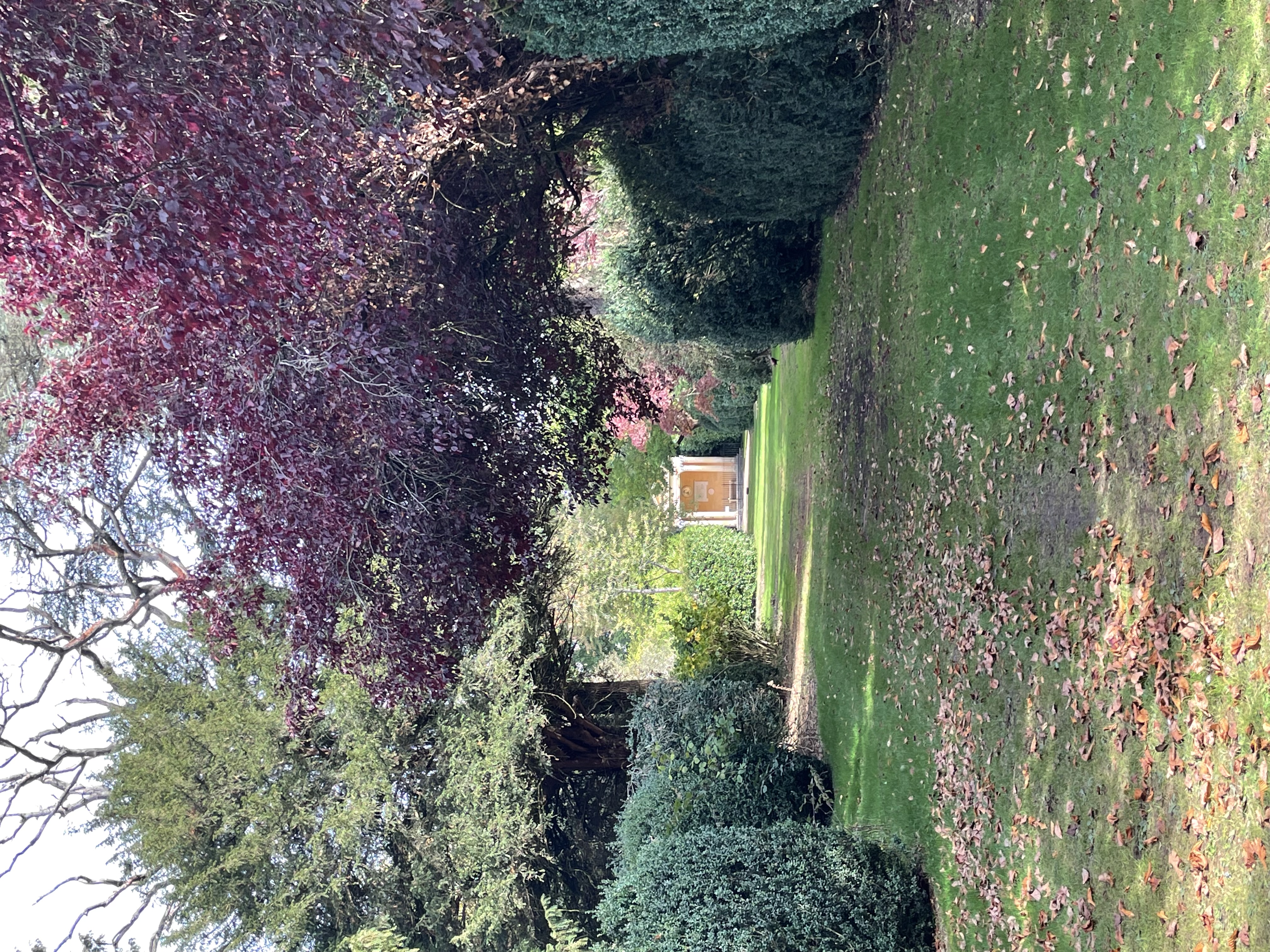 Blenheim Palace Library