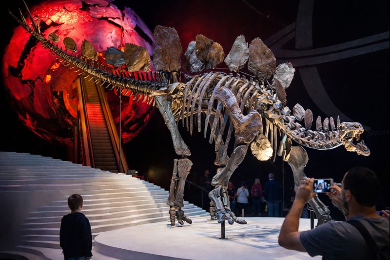 Natural History Museum 2