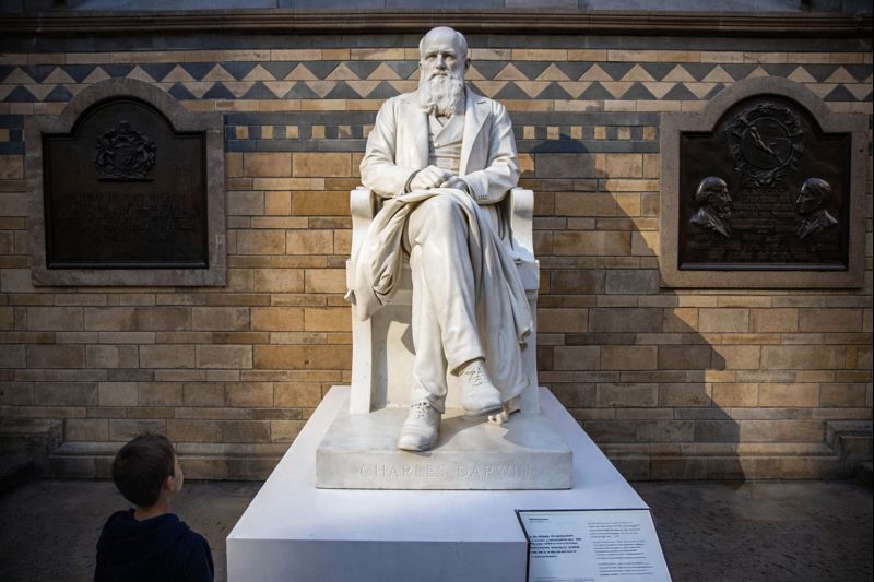 Natural History Museum 3