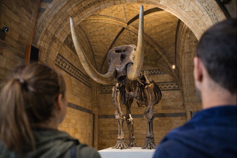 Natural History Museum 4