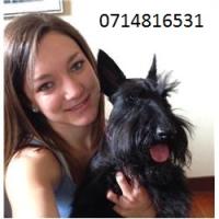 Chané