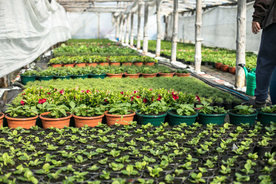 Green House Revolution protected cultivation structure