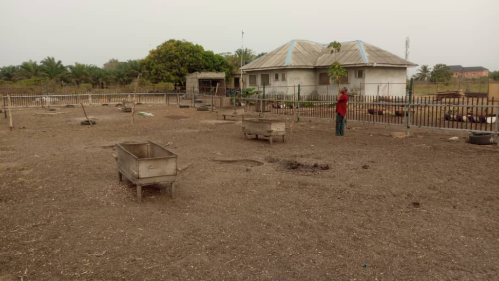 Lagos State Partners with Origin Farm, Badagry