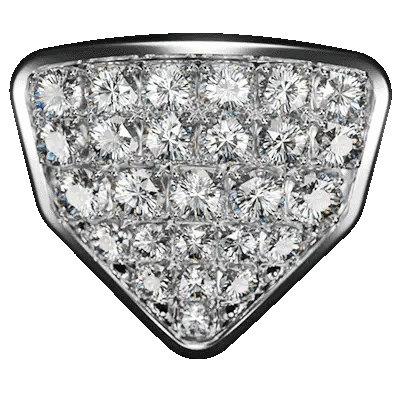 Designer Shaik Emblem