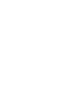 Designer Shaik logo