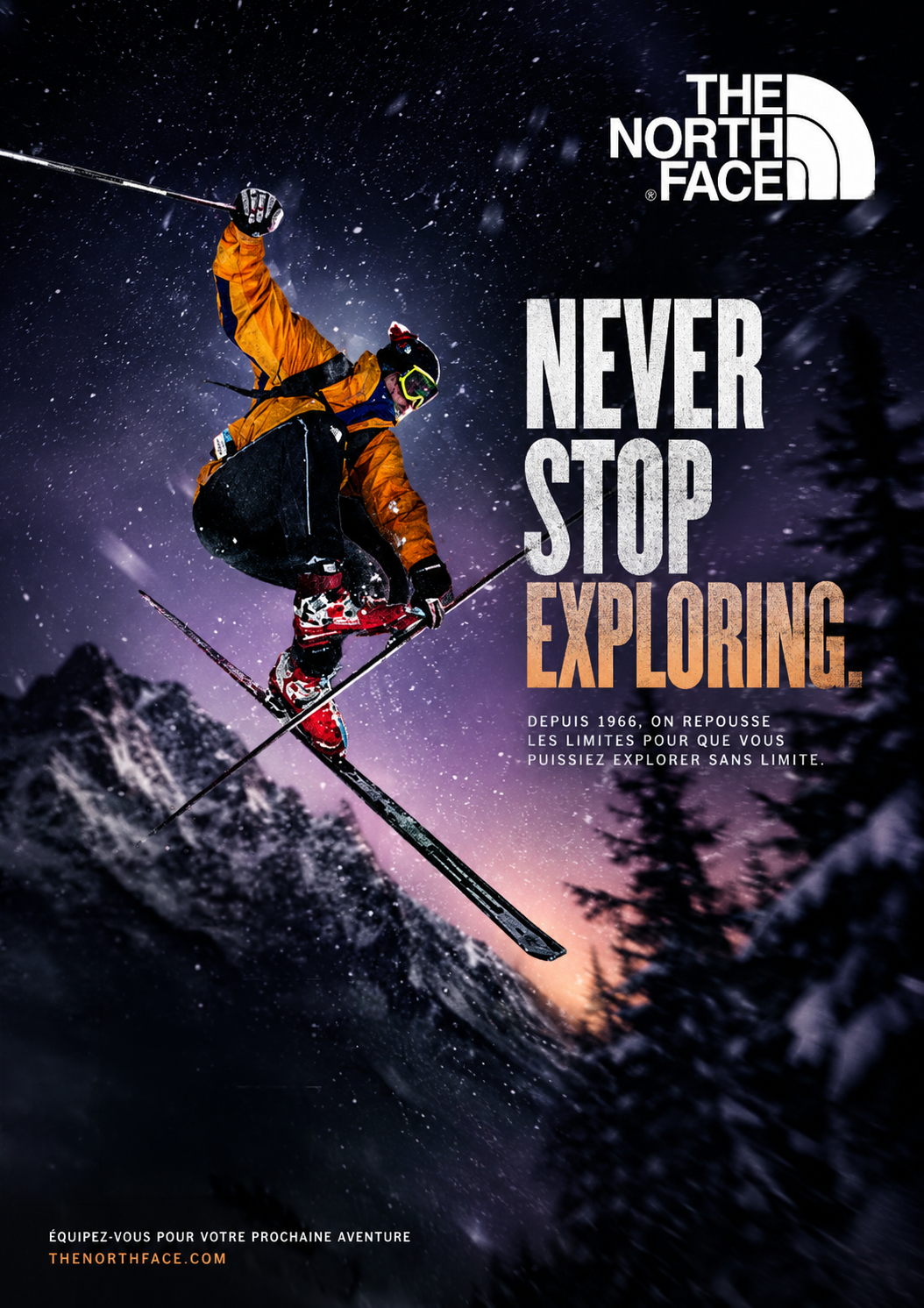 Affiche The North Face