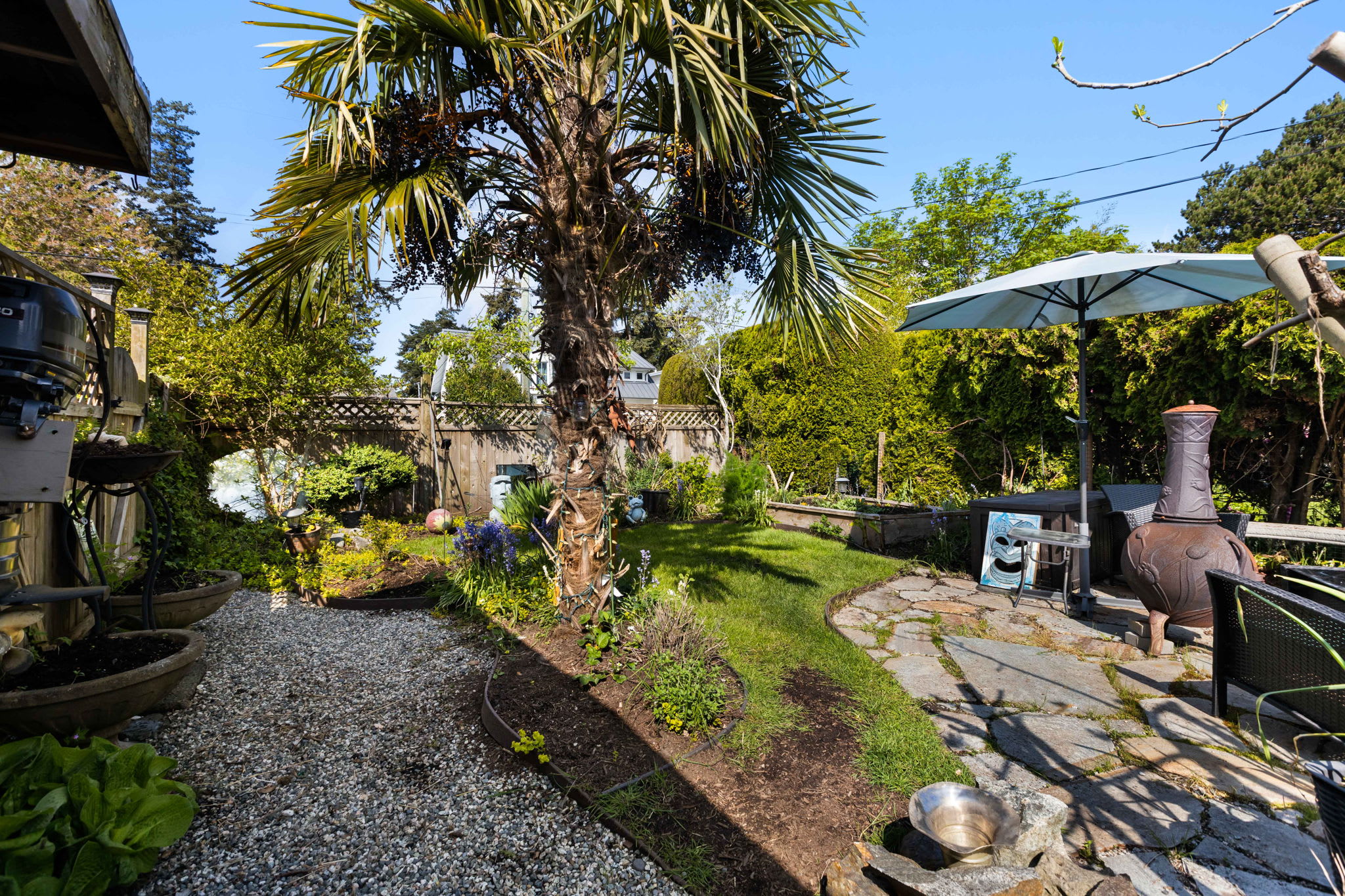Neighbourhood streetscape — Boundary Bay, Delta BC
