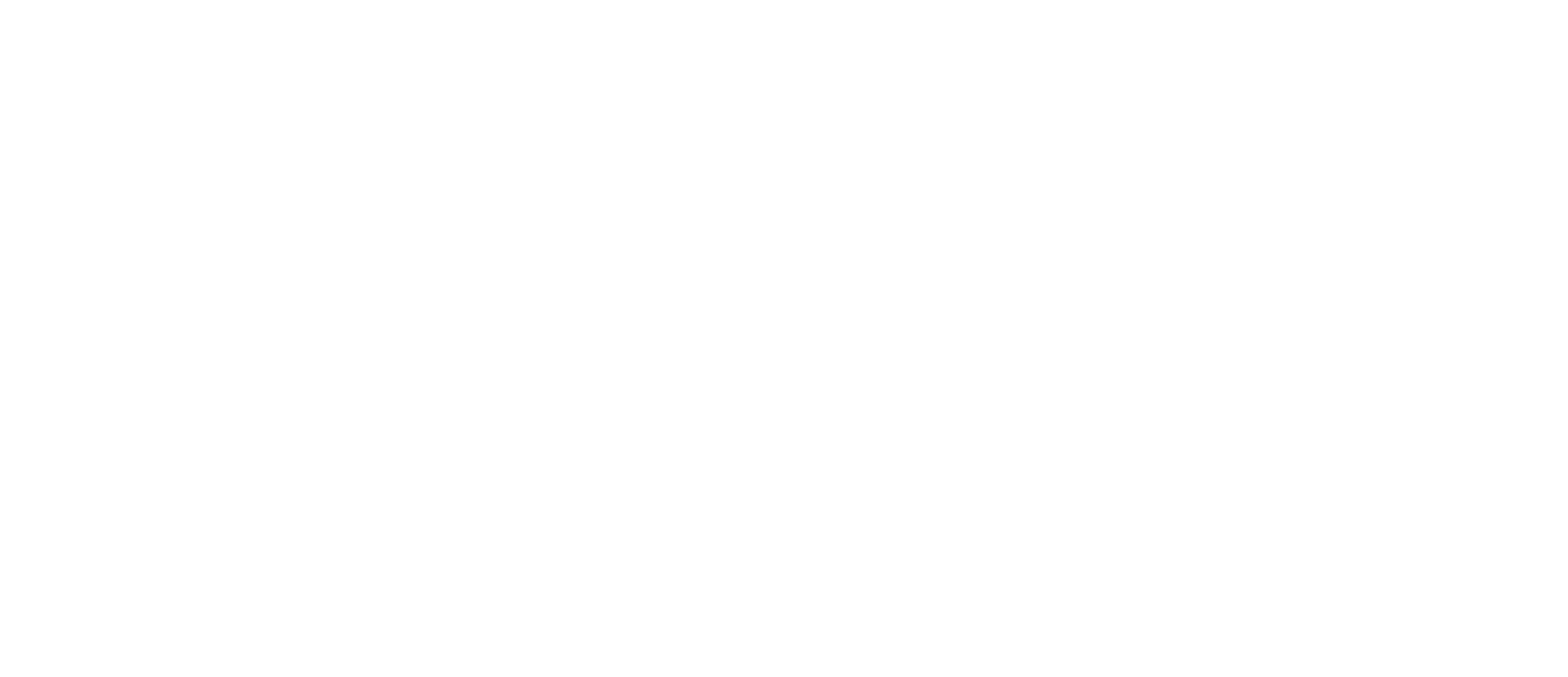 Vimo Prints logo