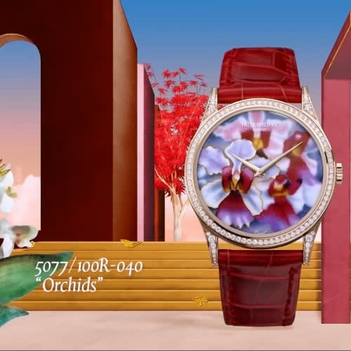 Patek Philippe Calatrava 5077 Rose Gold / Orchids
