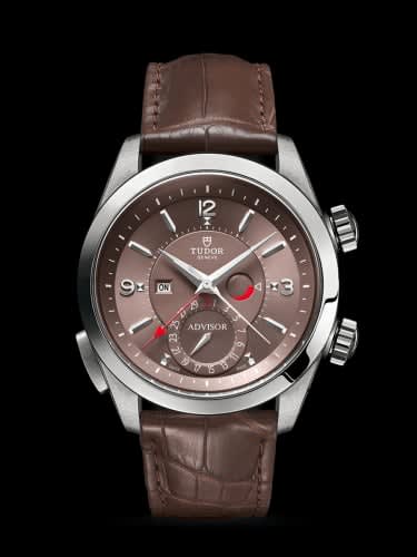 Tudor Heritage Advisor Stainless Steel / TItanium / Cognac / Alligator