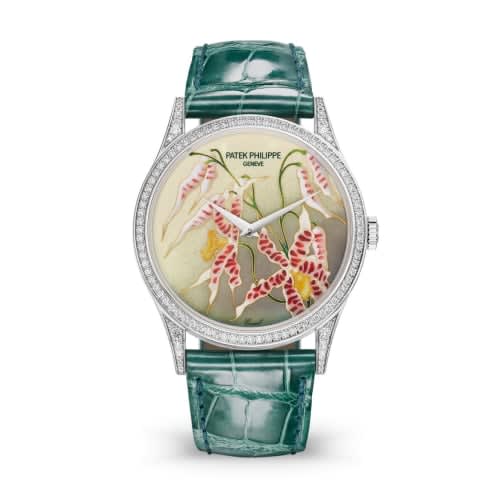 Patek Philippe Calatrava 5077 White Gold / Diamond / Orchids