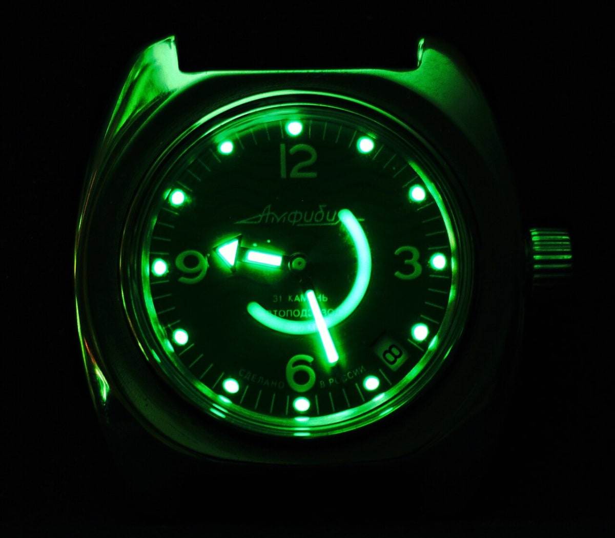 Vostok Amphibia