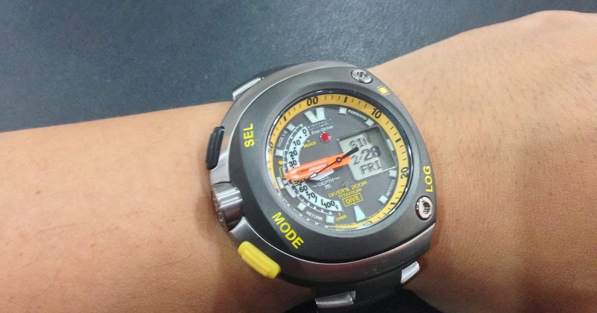 Citizen Promaster