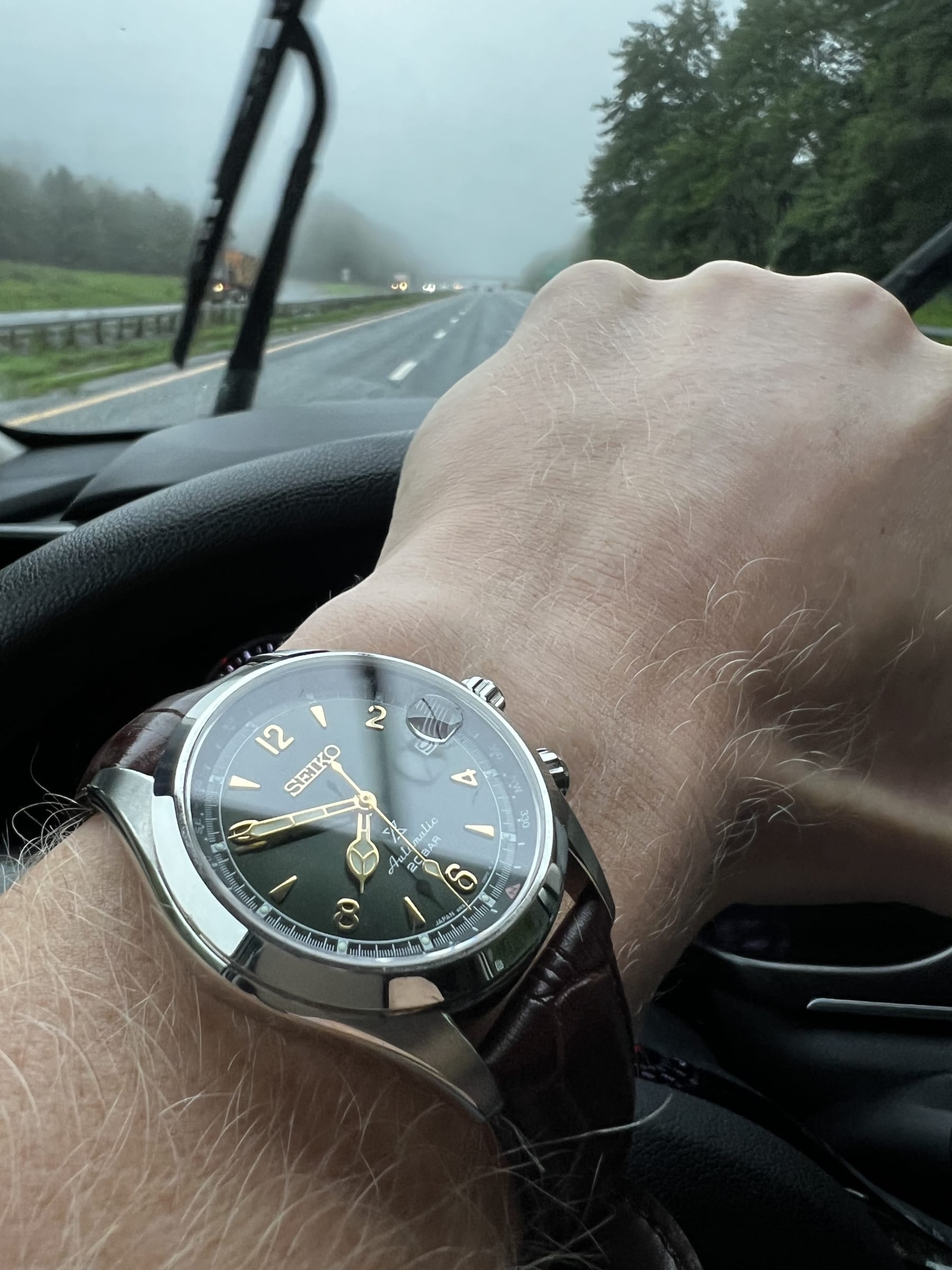 Seiko Alpinist