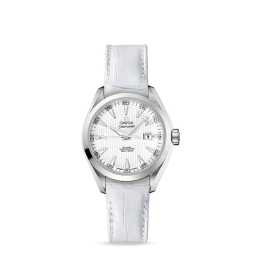Omega Seamaster Aqua Terra 150M Co-Axial 34 Stainless Steel / Silver