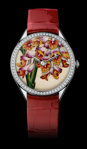 Vacheron Constantin Métiers d'Art Florilège Renealmia