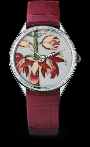 Vacheron Constantin Métiers d'Art Florilège China Limodoron Boutique